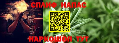 МДПВ Ливны